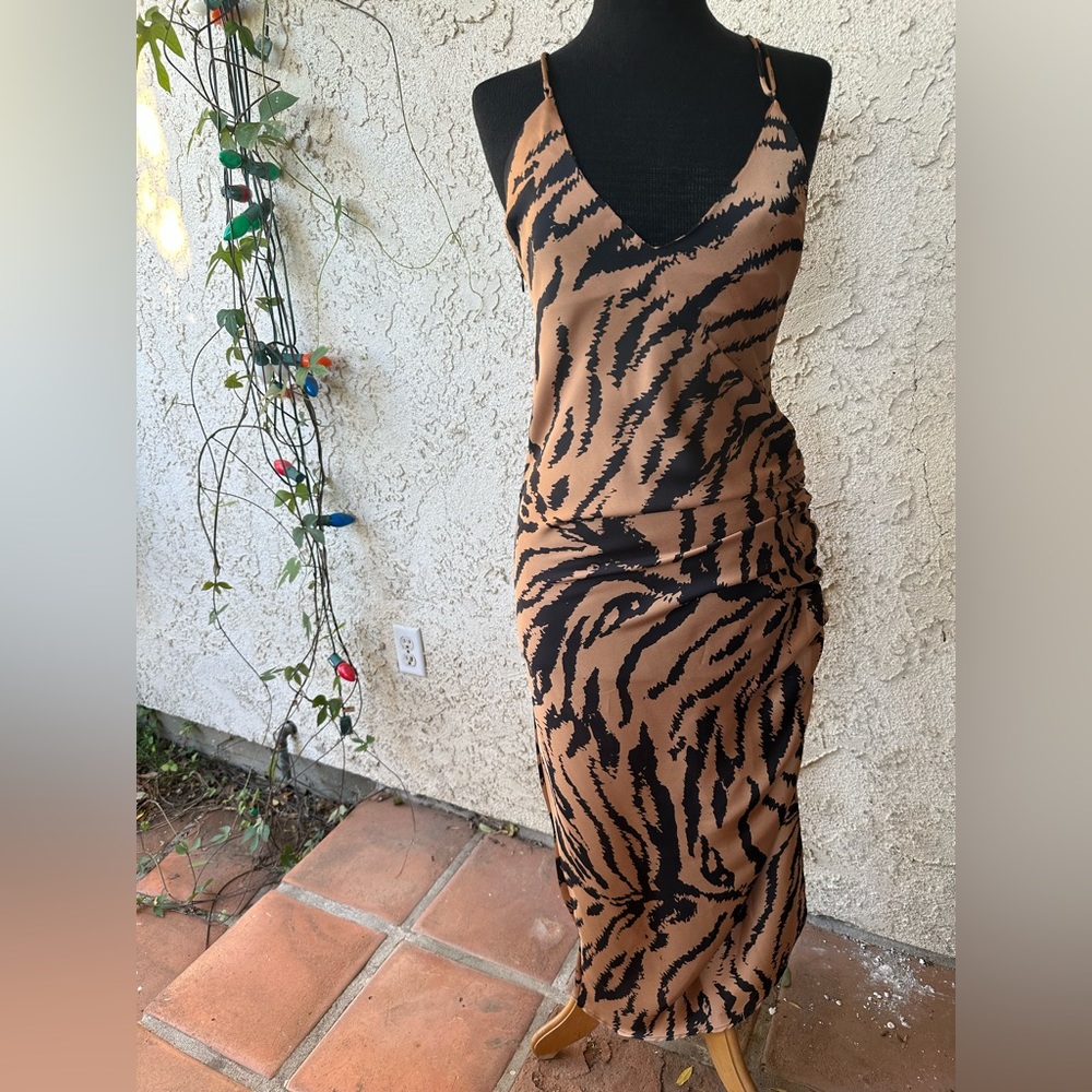 Zara dress